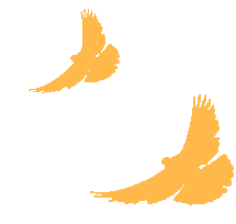 昆明市公共就业和人才服务中心