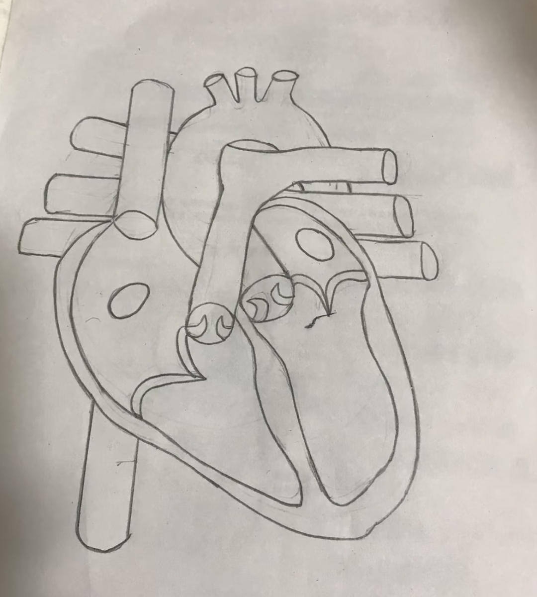 昆明市第一人民医院
