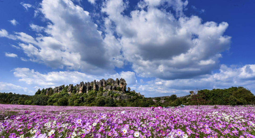 昆明广播电视台