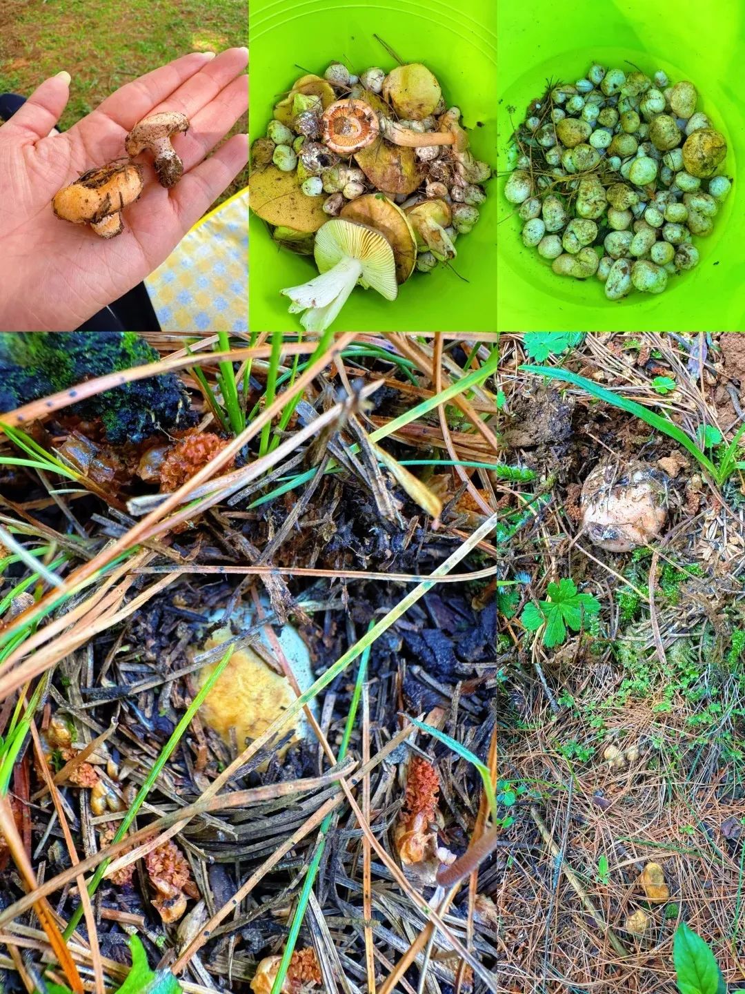 8099999街头巷尾微信