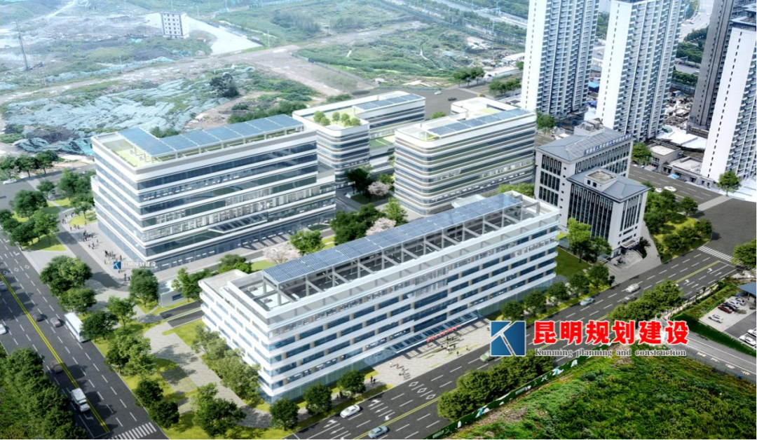 8099999街头巷尾微信