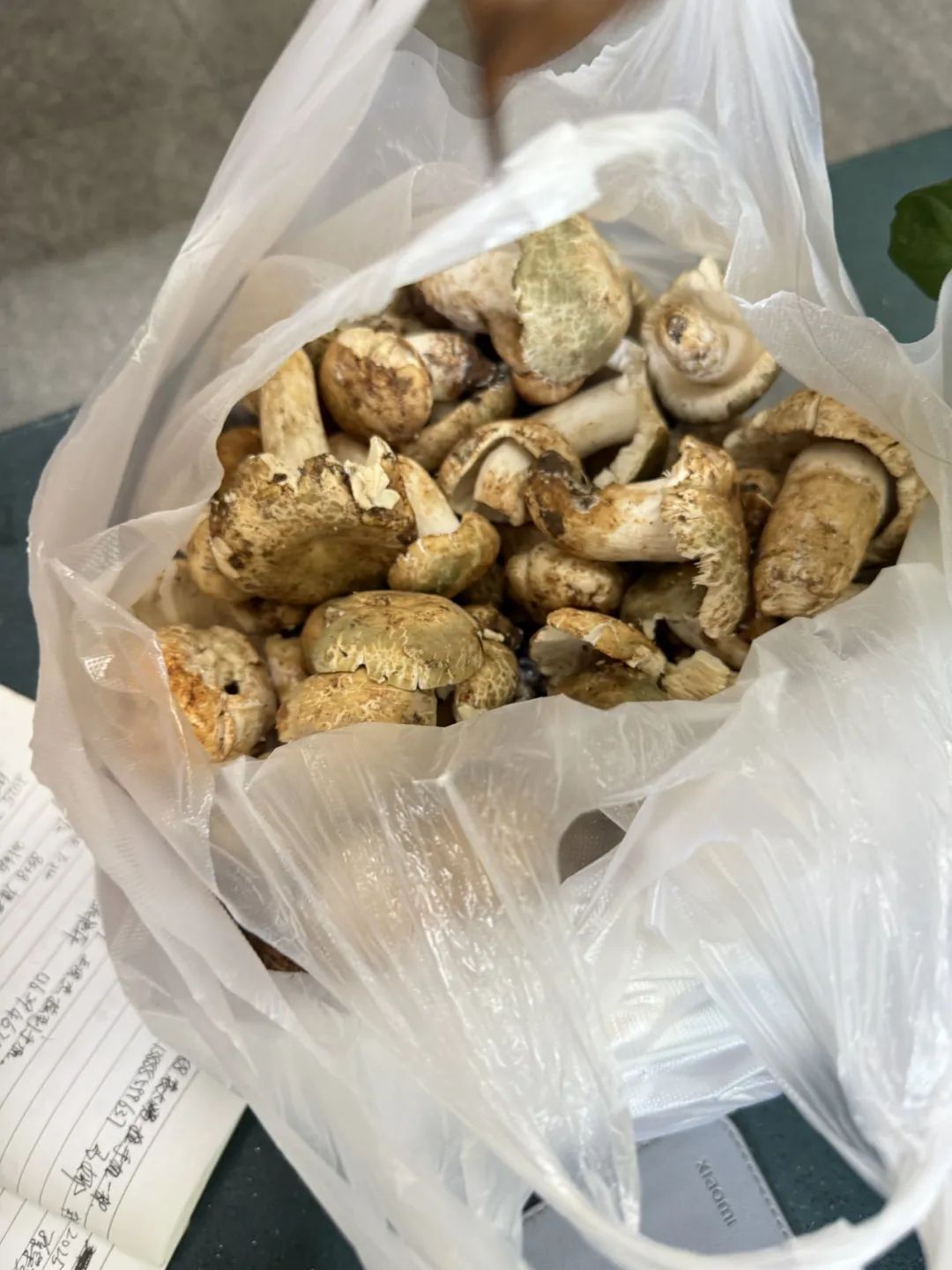 8099999街头巷尾微信