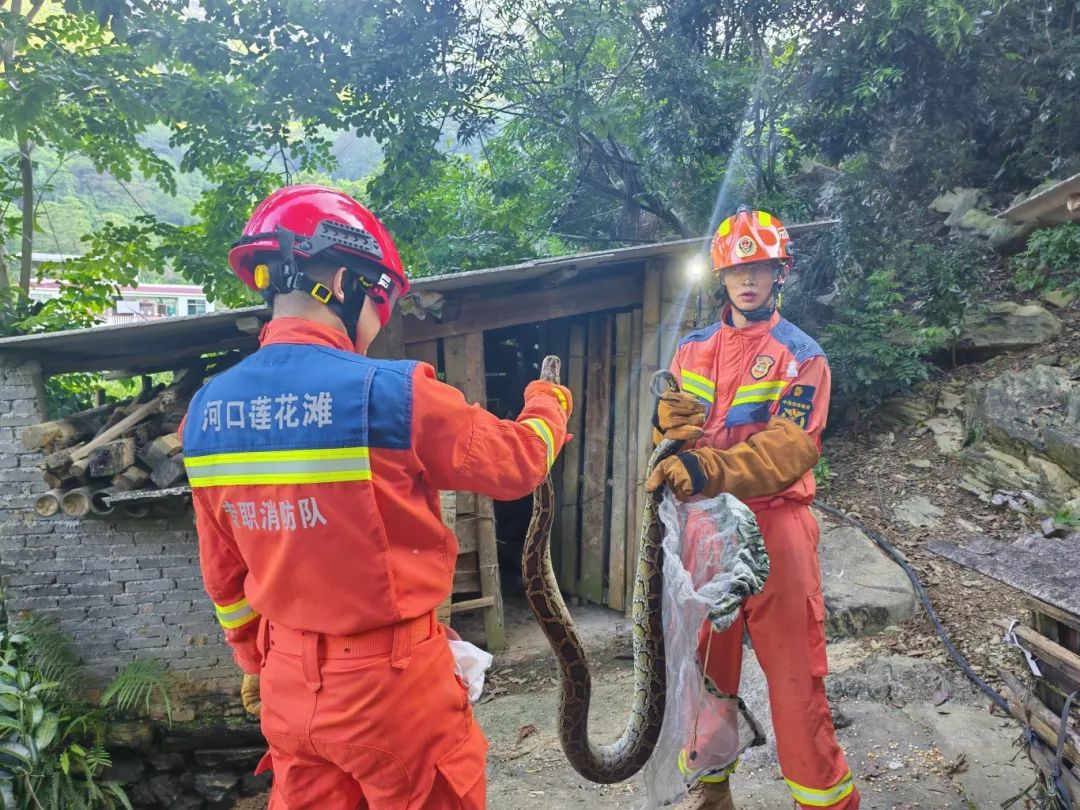 8099999街头巷尾微信