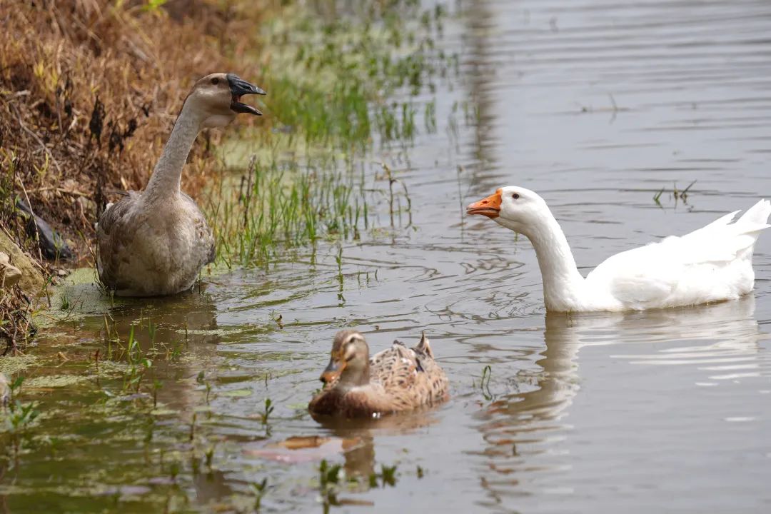 晋宁 诗意的栖居地