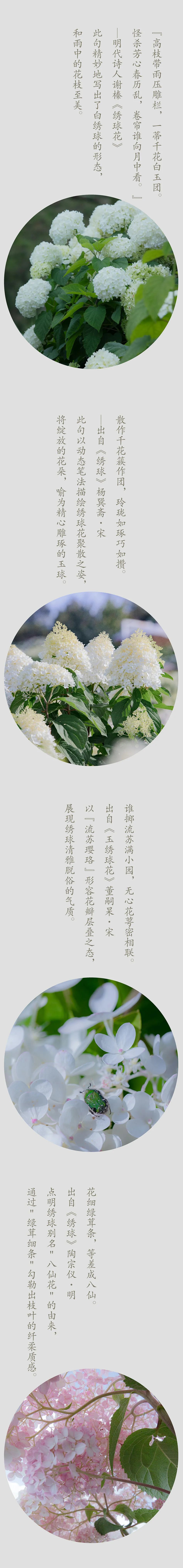 昆明阳宗海风景名胜区