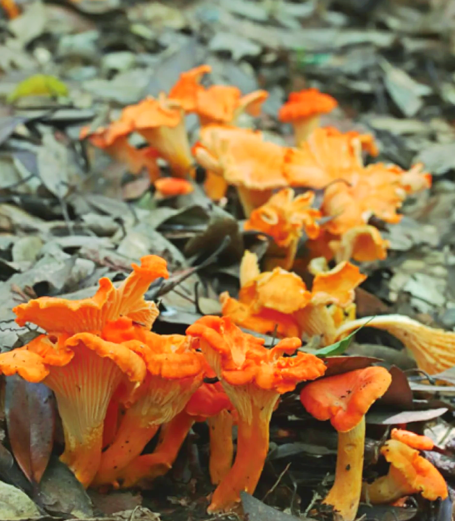 昆明市中医医院