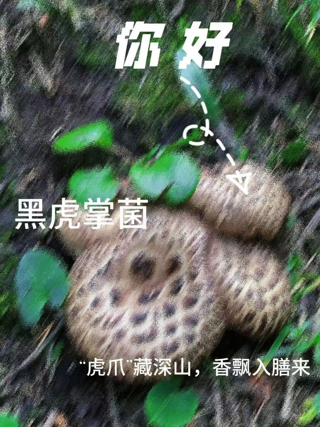 昆明市中医医院