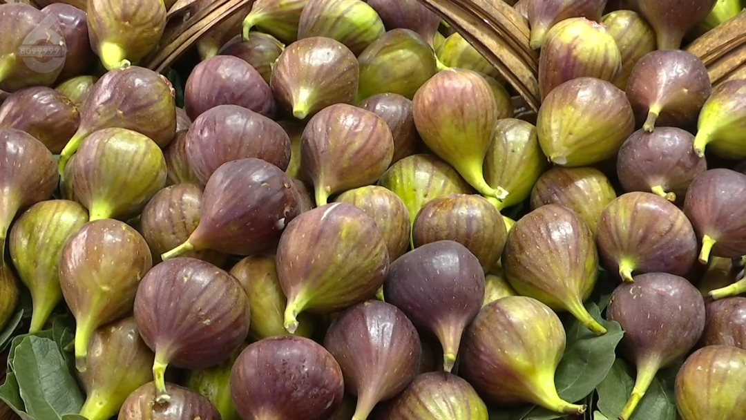 8099999街头巷尾微信