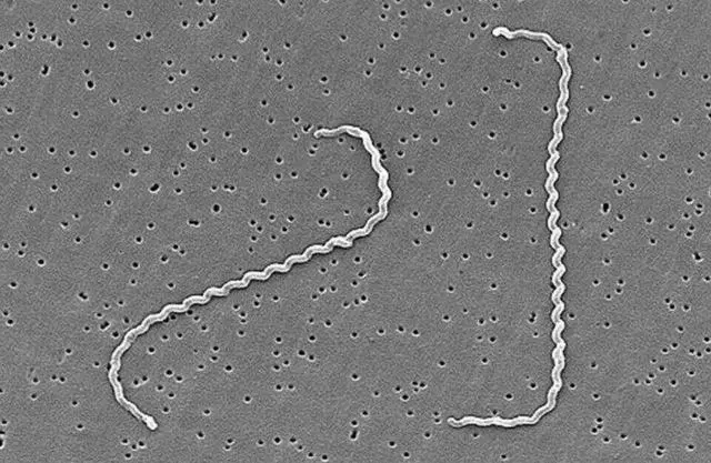 昆明阳宗海风景名胜区