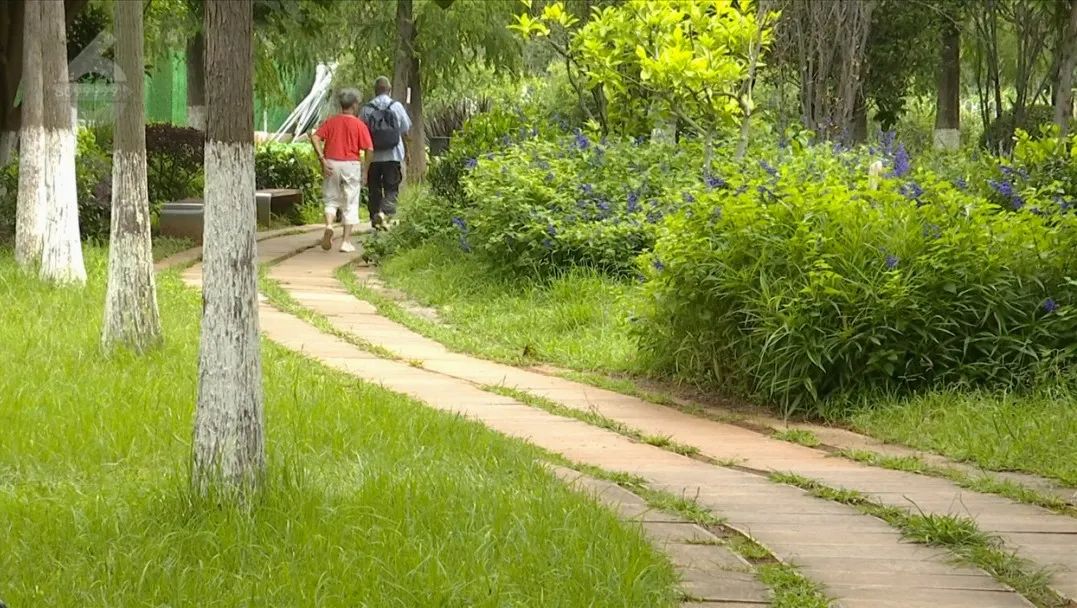 8099999街头巷尾微信