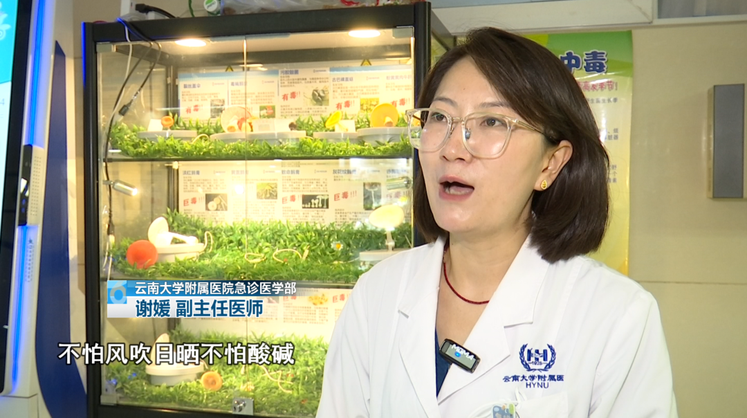 8099999街头巷尾微信