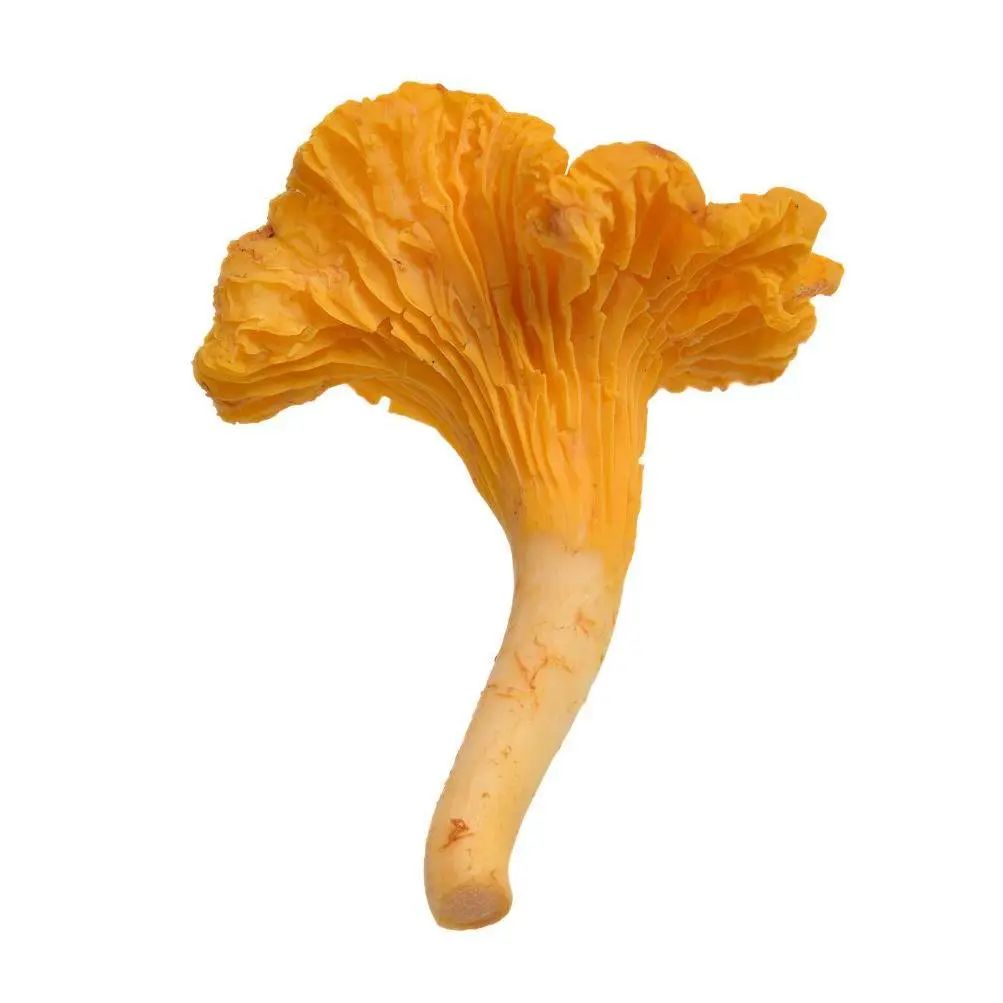 昆明市中医医院