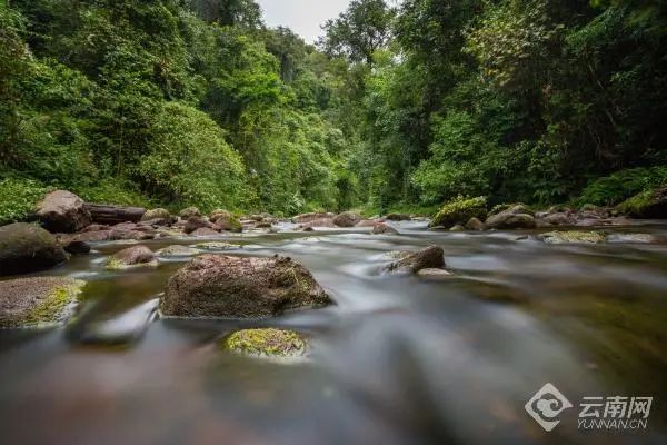 美丽云南微科普