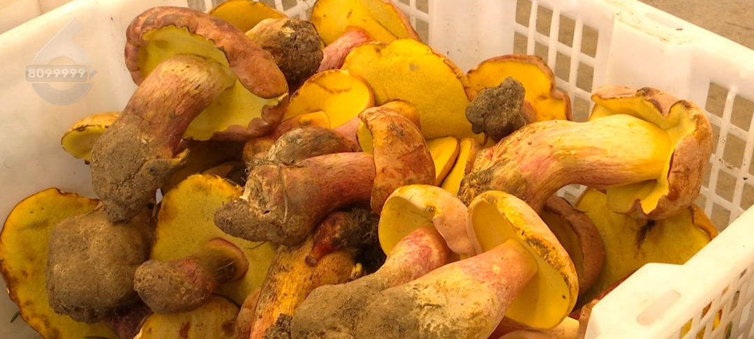 8099999街头巷尾微信