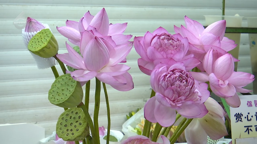 8099999街头巷尾微信