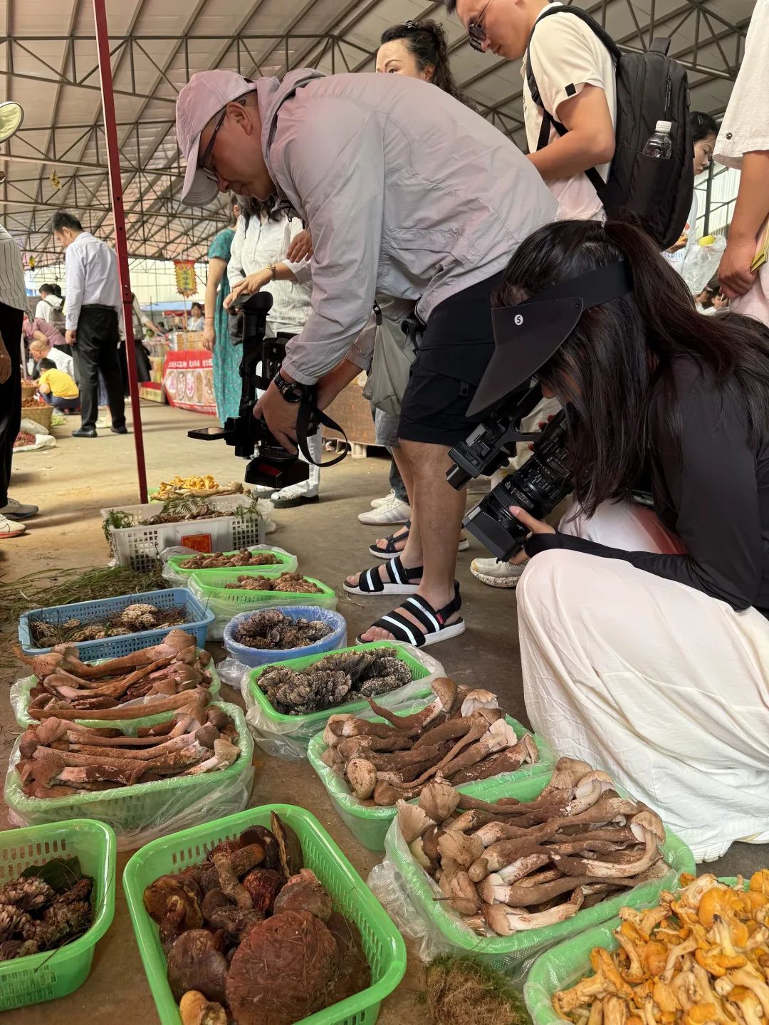 晋宁 诗意的栖居地
