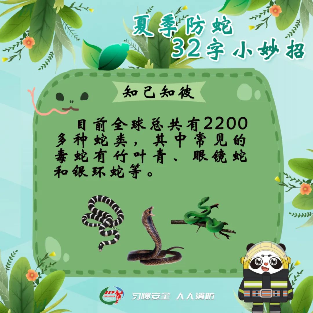 8099999街头巷尾微信