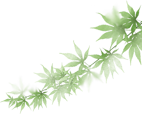 昆明市中医医院