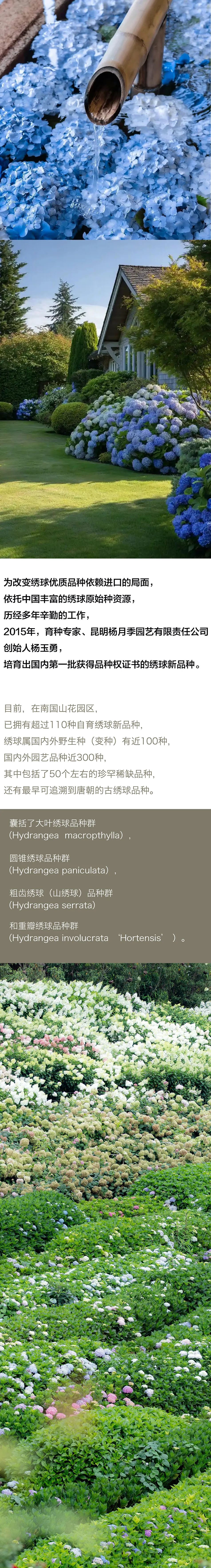 昆明阳宗海风景名胜区