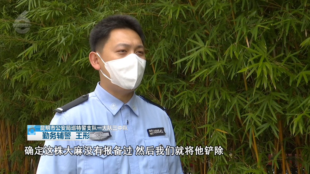 8099999街头巷尾微信