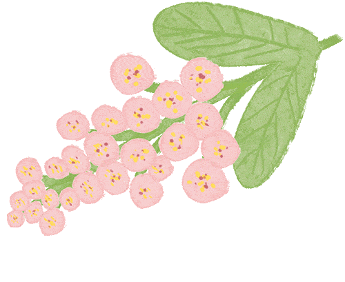 云南省中医医院