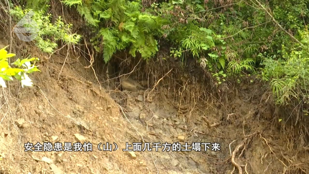 8099999街头巷尾微信