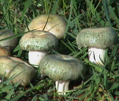 昆明市中医医院