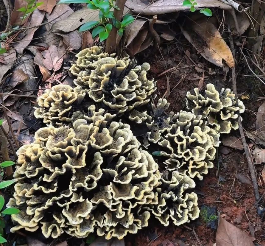 昆明市中医医院