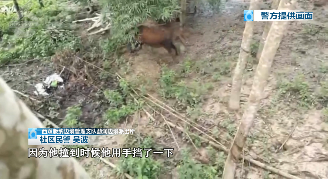 8099999街头巷尾微信