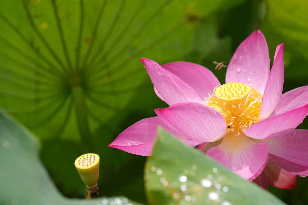 晋宁 诗意的栖居地