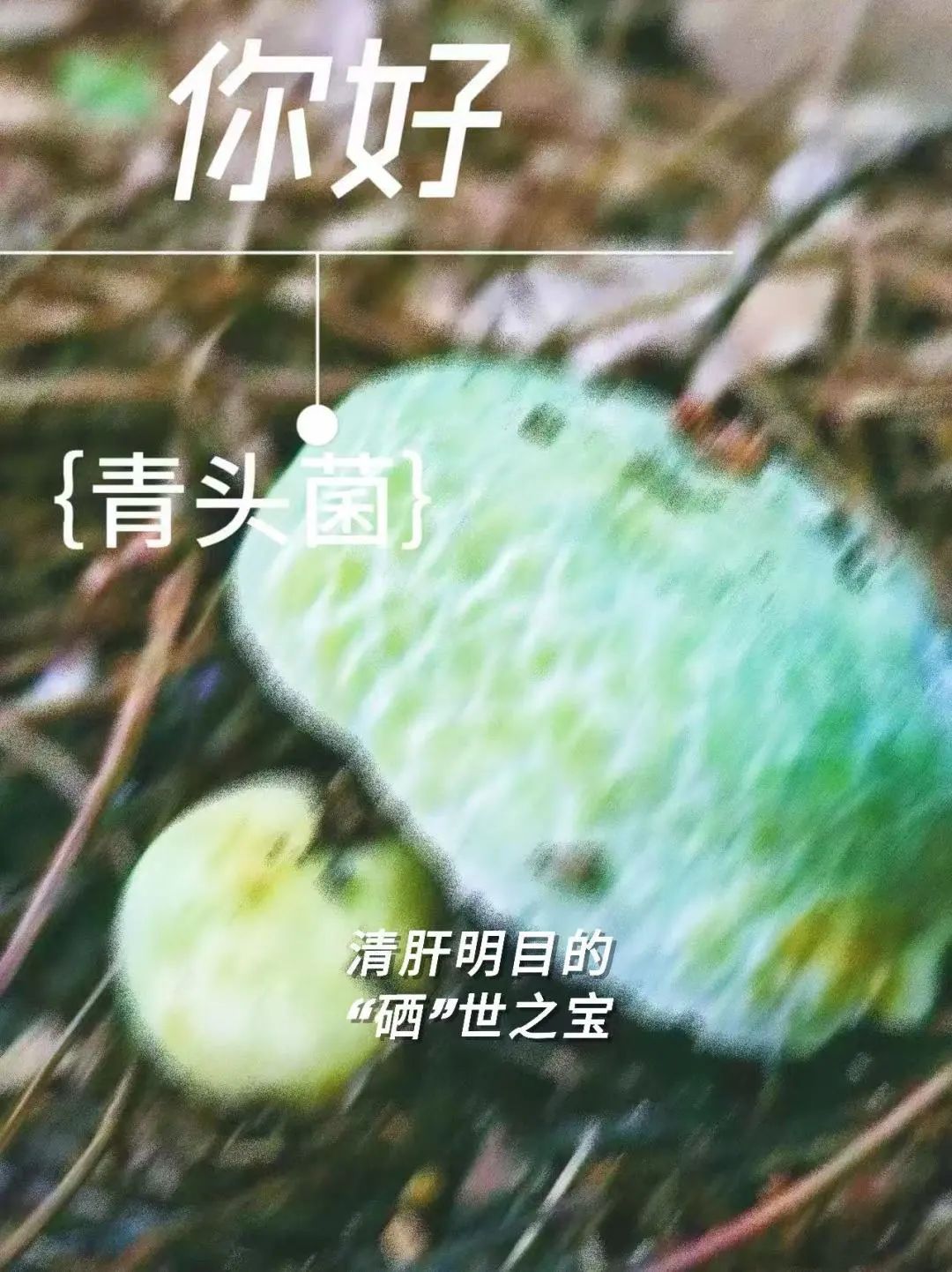 昆明市中医医院