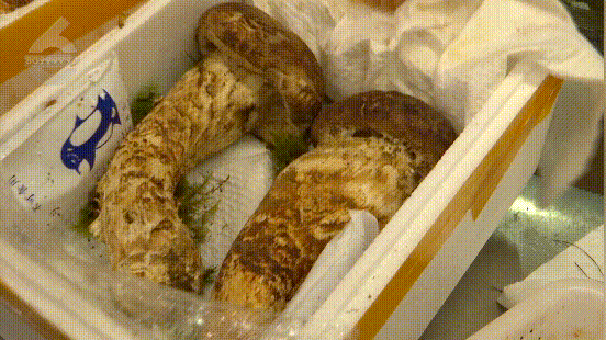 8099999街头巷尾微信