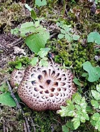 昆明市中医医院