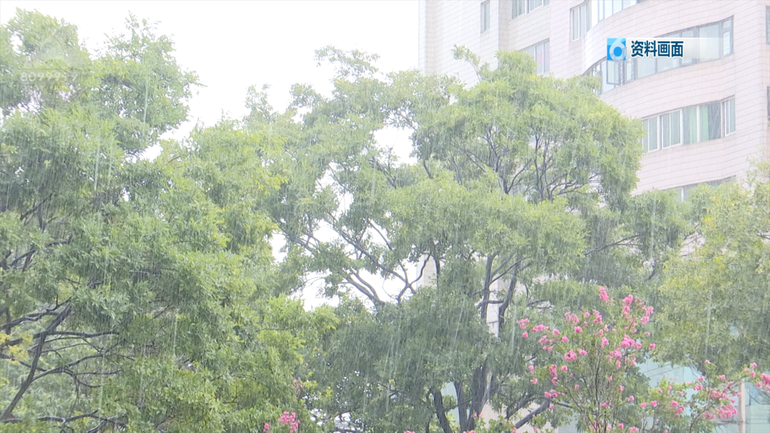 8099999街头巷尾微信