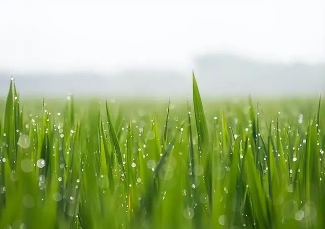 昆明市中医医院