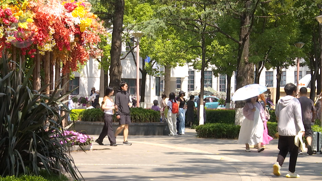 8099999街头巷尾微信