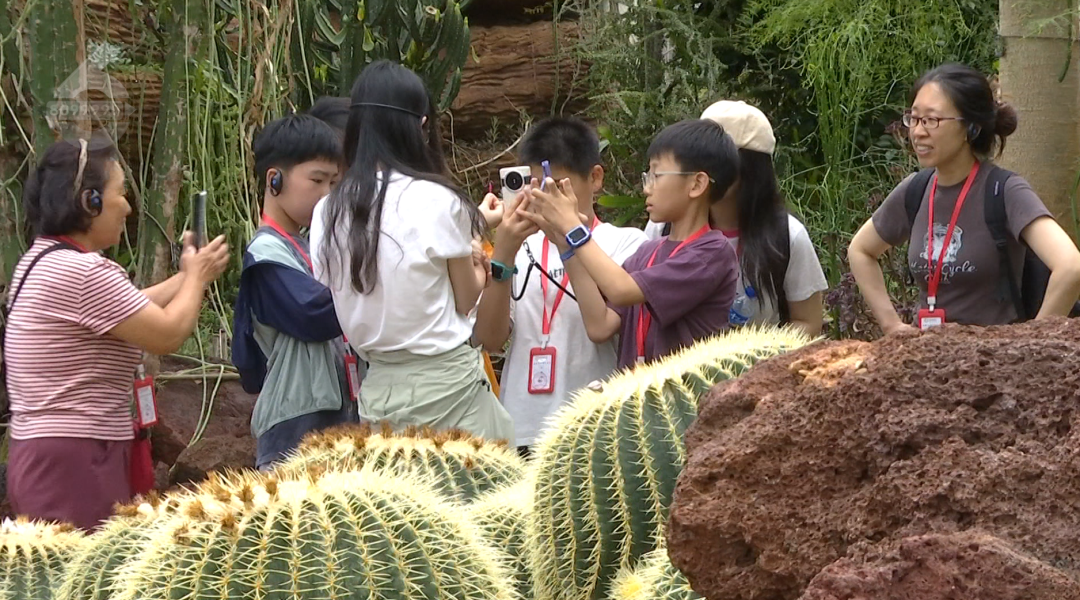 8099999街头巷尾微信