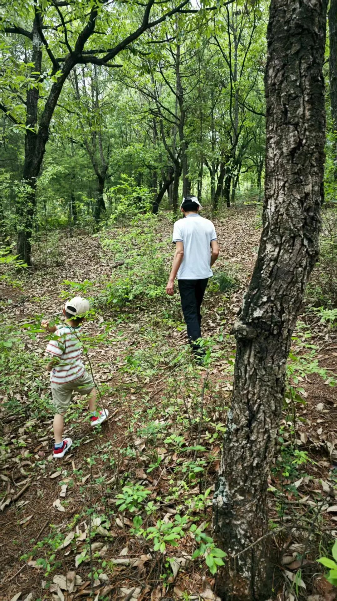 8099999街头巷尾微信