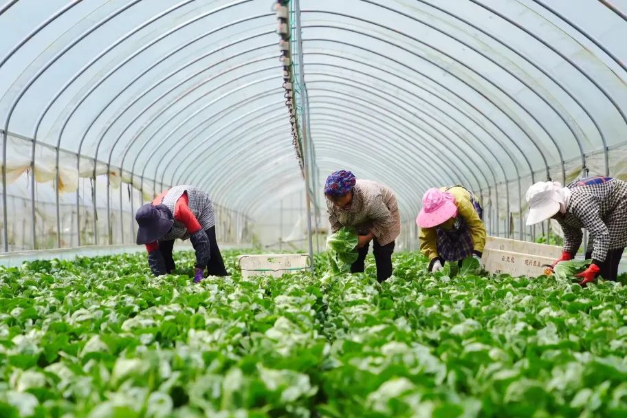 晋宁 诗意的栖居地