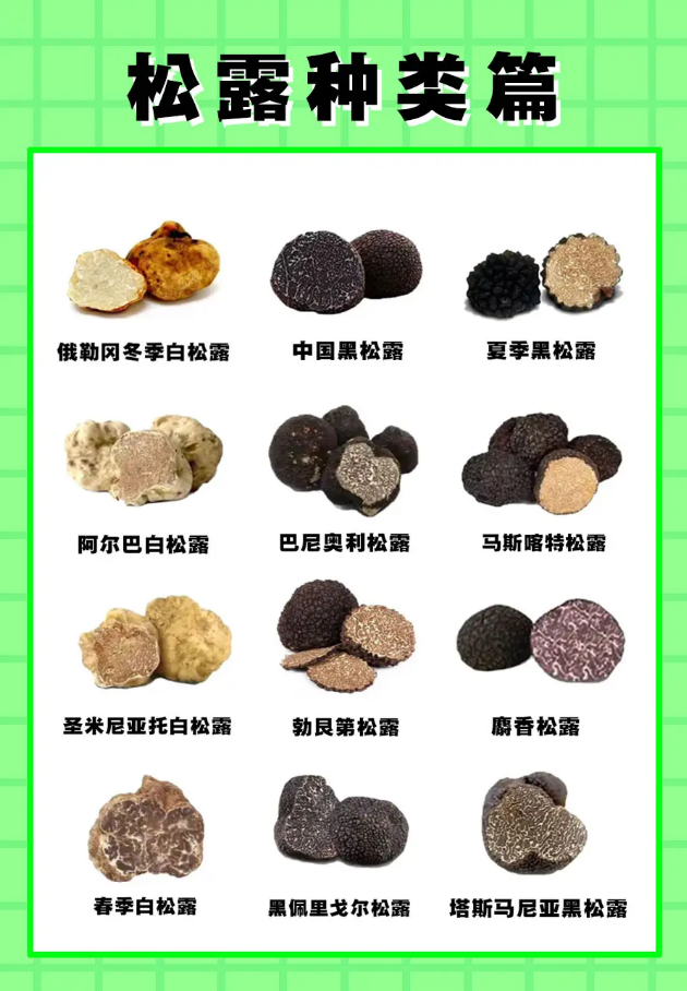 8099999街头巷尾微信