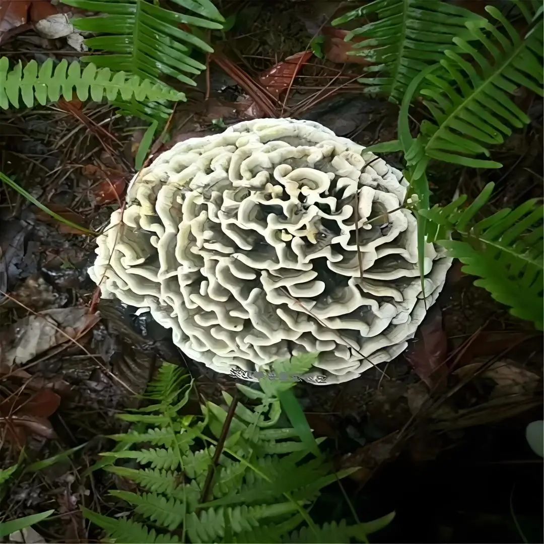 昆明市中医医院