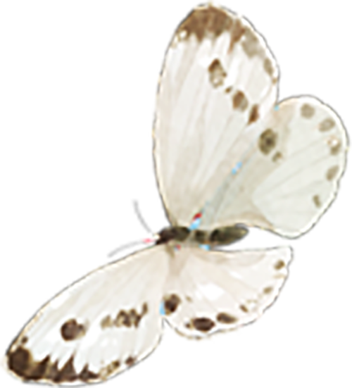 云南省中医医院