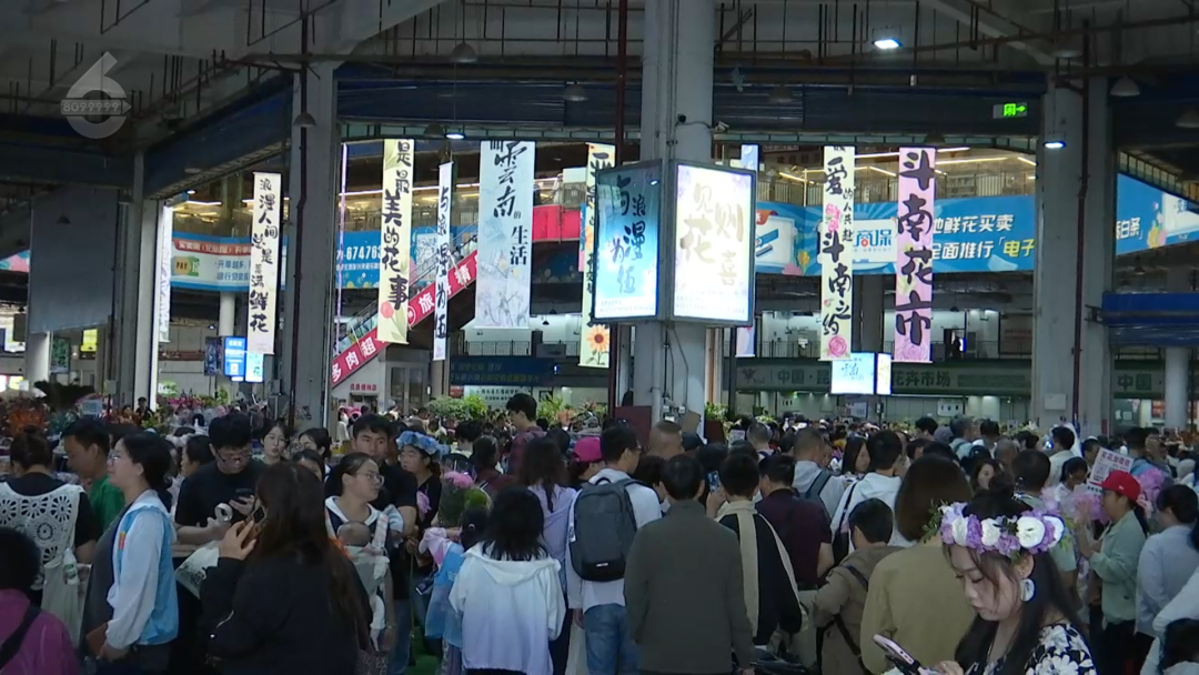 8099999街头巷尾微信