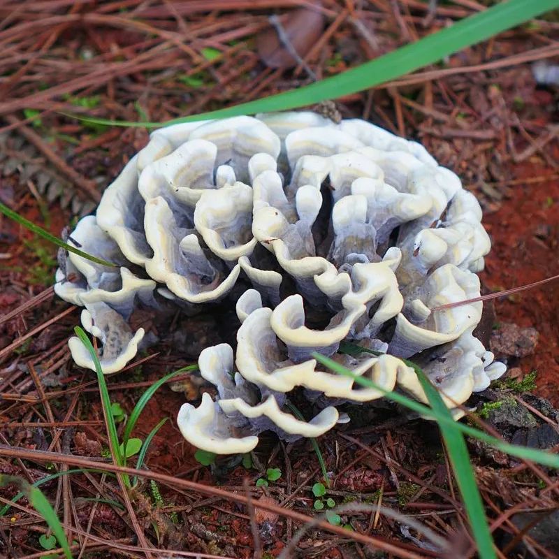 昆明市中医医院