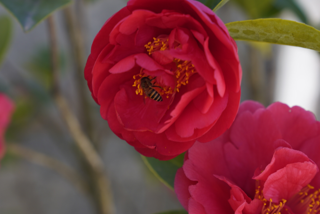 晋宁 诗意的栖居地