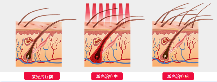 云南中医药大学第二附属医院