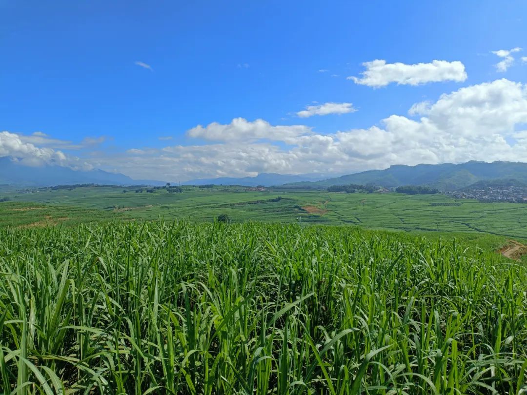 云南省人民政府