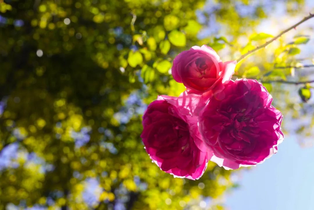 晋宁 诗意的栖居地