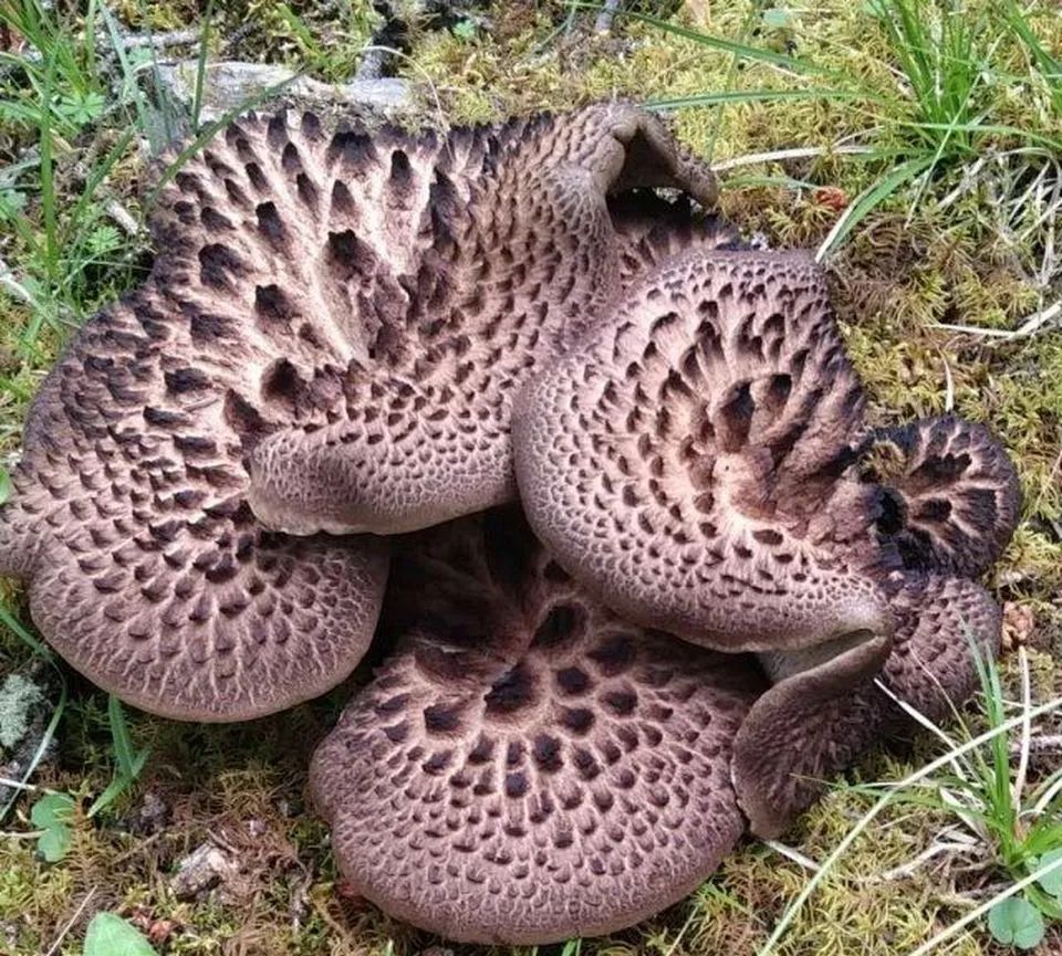 昆明市中医医院