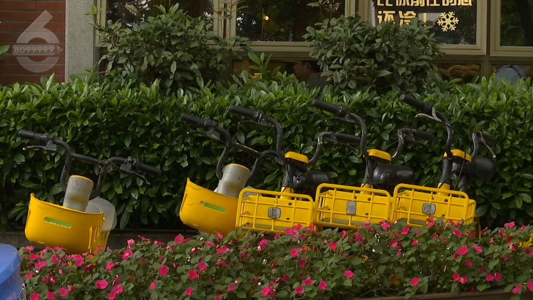 8099999街头巷尾微信